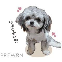 [LINEスタンプ] アルちゃん♡prewanキャンペーン