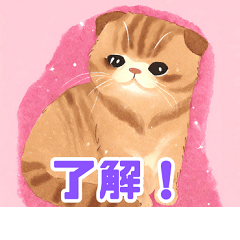 [LINEスタンプ] 可愛いスコティッシュフォールド水彩画風1