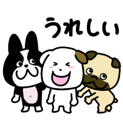 [LINEスタンプ] こぶるちゃん6（フレンド編）