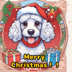 [LINEスタンプ] プードルのクリスマス色々