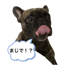 [LINEスタンプ] 僕の名前はボー Vol.3