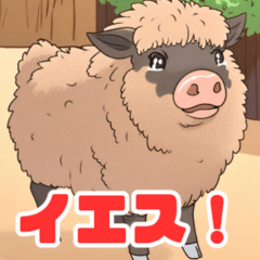 [LINEスタンプ] 珍しい動物シリーズ マンガリッツァ