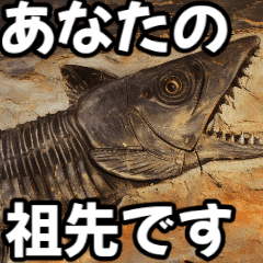 [LINEスタンプ] ⚫シーラカンス～化石化した古代魚～