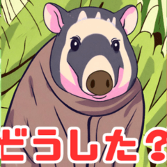 [LINEスタンプ] 珍しいかわいい動物シリーズ バク