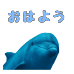 [LINEスタンプ] 【修正版】御蔵島 イルカの日常