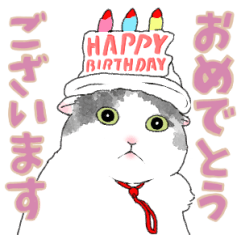 [LINEスタンプ] うちのしろくろねこ 1 修正版