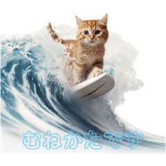 [LINEスタンプ] 猫とサーフィン