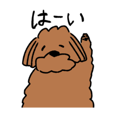 [LINEスタンプ] 我が家の犬が愛くるしいスタンプ