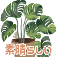 [LINEスタンプ] 開運植物