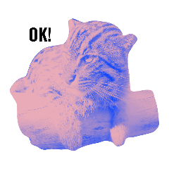 [LINEスタンプ] Suna neko.
