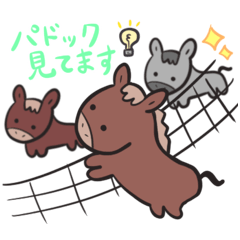 [LINEスタンプ] 便利！！競馬場での連絡用スタンプ