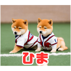 [LINEスタンプ] 野球好きな柴犬スタンプ3