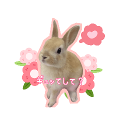 [LINEスタンプ] うさふぁむ2