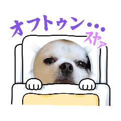 [LINEスタンプ] 小力也♥️(こりき)