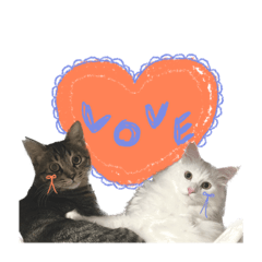 [LINEスタンプ] My cat is chimaki ＆ okayu！
