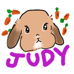 [LINEスタンプ] うさぎのJUDY