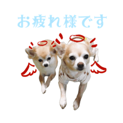 [LINEスタンプ] 私のおイヌ様。part 2