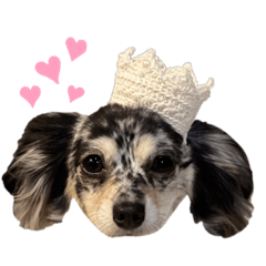[LINEスタンプ] AneLoveスタンプ2(チワックス)