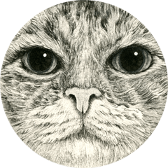 [LINEスタンプ] 圧をかける猫たち - 山田猫 vol.15