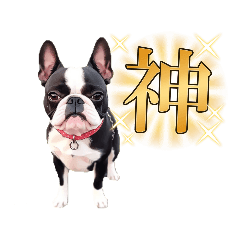 [LINEスタンプ] ボステリぼくちゃん