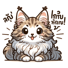 [LINEスタンプ] かわいいメインクーン猫のラインスタンプ