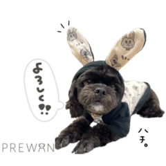 [LINEスタンプ] ハチちゃん♡prewanキャンペーン