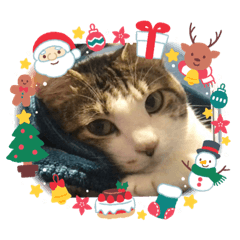 [LINEスタンプ] クリスマスはなちゃん