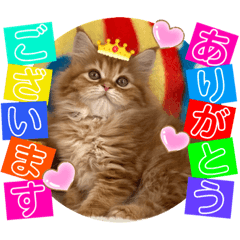 [LINEスタンプ] ねこまーち ゴールドプリンセスさん