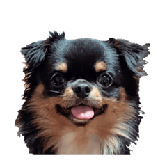 [LINEスタンプ] 出湯スタ