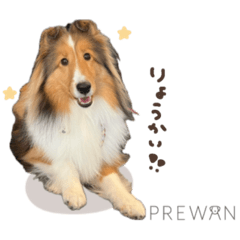 [LINEスタンプ] noixちゃん♡prewanキャンペーン