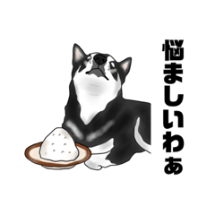 [LINEスタンプ] イケメン柴シーバ