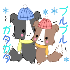 [LINEスタンプ] 飛び出す！ちびボーダーコリー4[冬の日常]