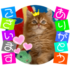 [LINEスタンプ] ねこまーち ダイヤモンドプリンス君