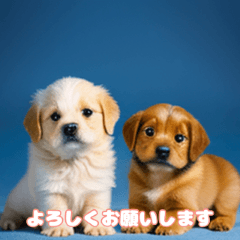 [LINEスタンプ] 【一年中使えるスタンプ】仔犬シリーズ③