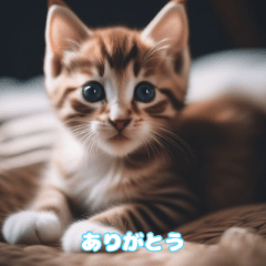 [LINEスタンプ] 【一年中使えるスタンプ】仔猫シリーズ①