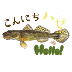 [LINEスタンプ] 魚ダジャレ日常スタンプ 第三弾