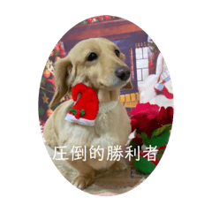 [LINEスタンプ] 圧倒的勝利者 冬