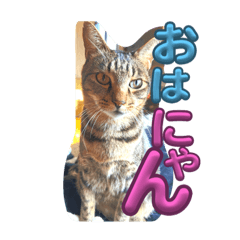 [LINEスタンプ] 遥々ばるばる♡