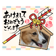 [LINEスタンプ] コーギー犬*ハニさん*冬メリクリ＆あけおめ