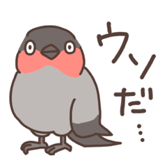 [LINEスタンプ] 日本の可愛い野鳥のゆるいダジャレスタンプ