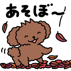 [LINEスタンプ] 見やすい！冬に使えるかわいいトイプードル