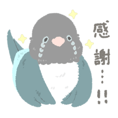 [LINEスタンプ] 好き❤️デイリ〜インコちゃんず