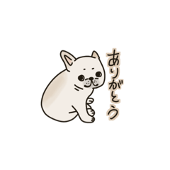 [LINEスタンプ] フレブル フレンチブルドッグ クリーム 犬