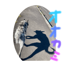 [LINEスタンプ] オオカミ シェプスキー✖️秋田犬 Part3の画像（メイン）