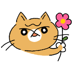 [LINEスタンプ] ねここちゃちゃ