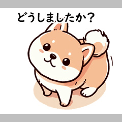 [LINEスタンプ] 愛らしい柴犬スタンプコレクション