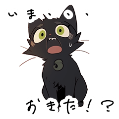 [LINEスタンプ] 基本びっくりしている黒猫