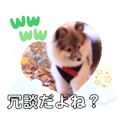 [LINEスタンプ] 「ワクワク」「楽しい」「イマドキ」笑い犬