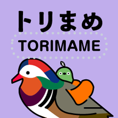 [LINEスタンプ] 野鳥のメッセージスタンプ - トリまめ5