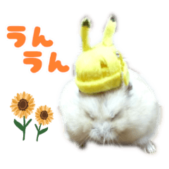 [LINEスタンプ] ハムスターの小麦